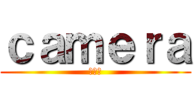 ｃａｍｅｒａ (ｶﾒﾗ)