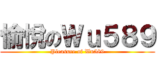 愉悅のＷｕ５８９ (Pleasure of Wu589)