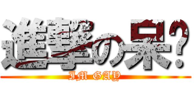 進撃の呆喵 (IM GAY)