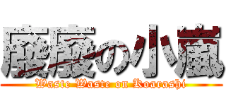 廢廢の小嵐 (Waste Waste on Koarashi)