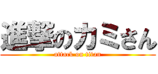 進撃のカミさん (attack on titan)