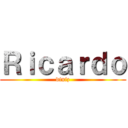 Ｒｉｃａｒｄｏ (diniz)