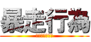 暴走行為 (道路交法なんて)