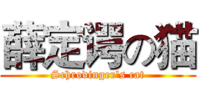 薛定谔の猫 (Schrodinger's cat)