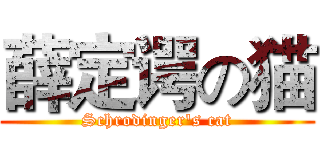 薛定谔の猫 (Schrodinger's cat)