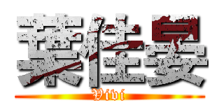 葉佳晏 (Vivi)