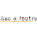 Ｓａｃ à ｆｏｕｔｒｅ (:3)