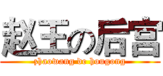 赵王の后宫 (zhaowang de hougong)
