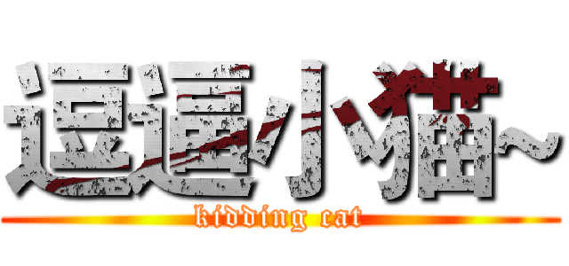 逗逼小猫~ (kidding cat)