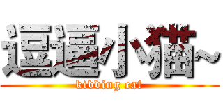 逗逼小猫~ (kidding cat)