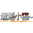 逗逼小猫~ (kidding cat)