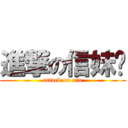 進撃の信妹纸 (attack on xin)