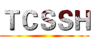 ＴＣＳＳＨ ()