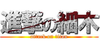 進撃の細木 (attack on titan)