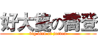 好大隻の喬登 (big bird of jorden)