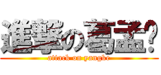 進撃の葛孟园 (attack on yangke)