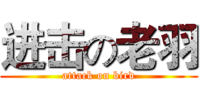 进击の老羽 (attack on bird)