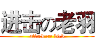 进击の老羽 (attack on bird)
