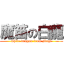 魔笛の白龍 (white dragon from Magi)