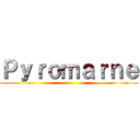 Ｐｙｒｏｍａｒｎｅ ()