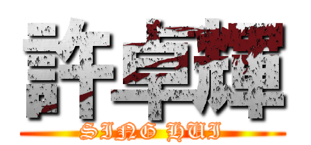 許卓輝 (SING HUI)