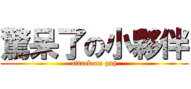 驚呆了の小夥伴 (attack on gay)