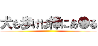 犬も歩けば棒にあ●る ()
