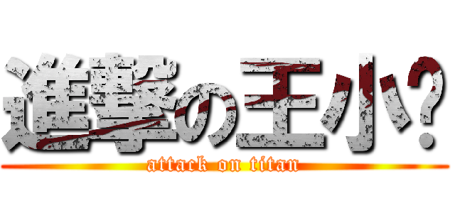 進撃の王小妞 (attack on titan)