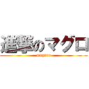 進撃のマグロ (maguro)