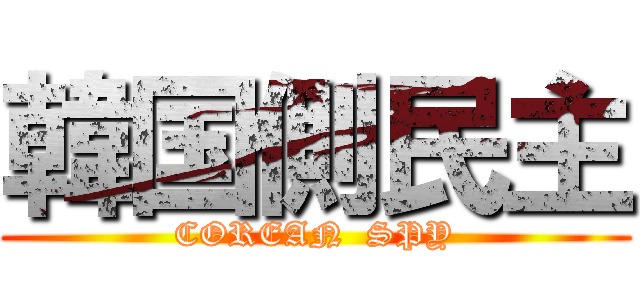 韓国側民主 (COREAN  SPY)