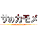 サのカモメ (sa no kamome)