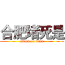 合肥堵死是 (attack on titan)