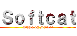 Ｓｏｆｔｃａｔ (Attack on Softcat)