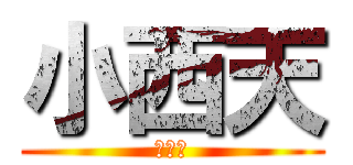 小西天 (叶芷青)