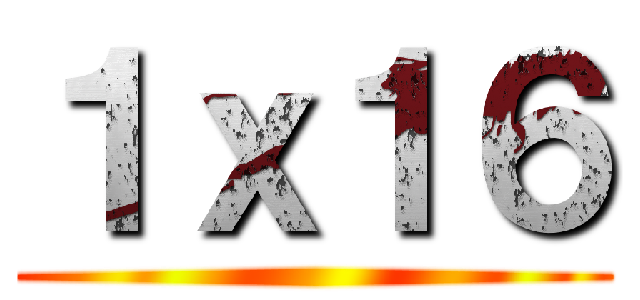 １ｘ１６ ()