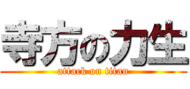 寺方の力生 (attack on titan)