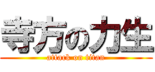 寺方の力生 (attack on titan)