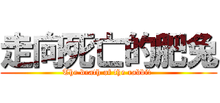 走向死亡的肥兔 (The death of the rabbit )