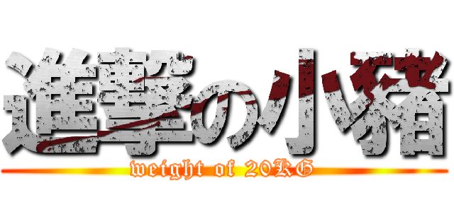 進撃の小豬 (weight of 20KG)