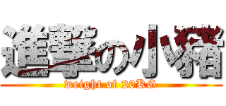 進撃の小豬 (weight of 20KG)