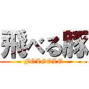 飛べる豚 (FOLGOLE)