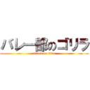 バレー部のゴリラ (attack on titan)