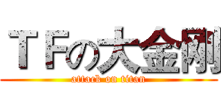 ＴＦの大金刚 (attack on titan)