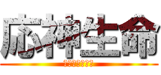 応神生命 (おうじんみこと)