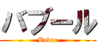 バブール (Babur)