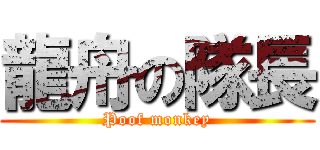 龍舟の隊長 (Poof monkey)