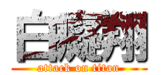 白癡翔 (attack on titan)