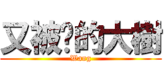 又被砍的大樹 (Wang)