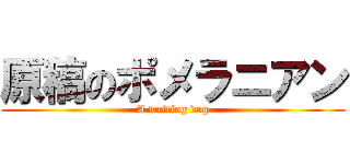 原稿のポメラニアン (A writing dog)