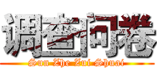 调查问卷 (Sun Zhe Zui Shuai)